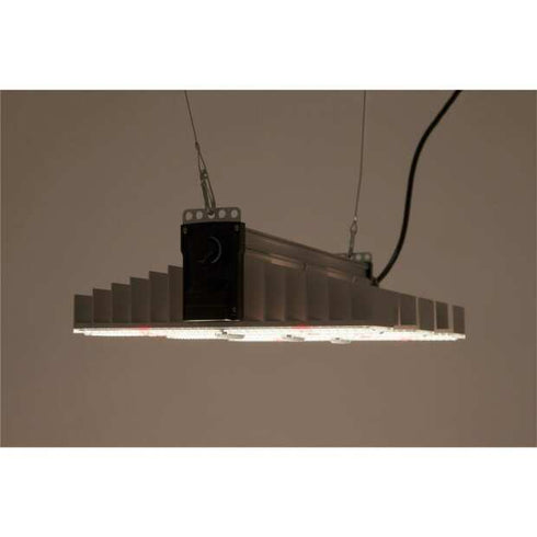 Sanlight EVO 3-60, 190W und 520 µmol/s