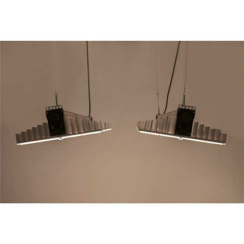 Sanlight EVO 4-100, 250W und 696 µmol/s