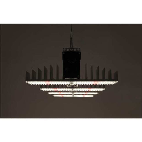 Sanlight EVO 4-120, 250W und 696 µmol/s