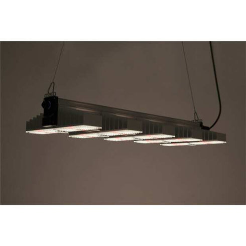 Sanlight EVO 5-100, 320W und 870 µmol/s