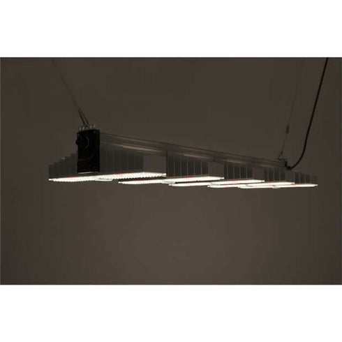 Sanlight EVO 5-120, 320W und 870 µmol/s